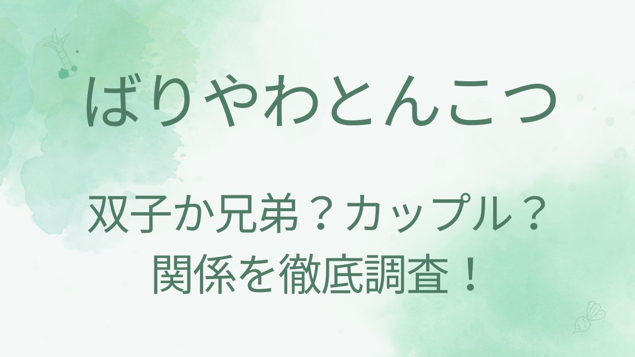 ばりやわとんこつの関係は兄弟か双子？付き合ってるカップルなの？